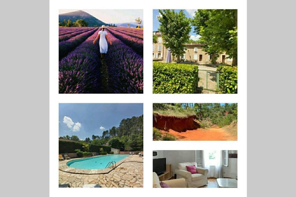 Eblouissant Appartement Au Calme D'Une Residence Avec Piscine Idealement Situe Au Pied Du Colorado Provencal Dans Le Prestigieux Luberon Rustrel Kültér fotó